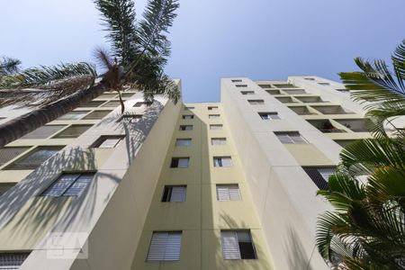 Fachada de apartamento para alugar com 2 quartos, 50m² em Vila Amélia, São Paulo