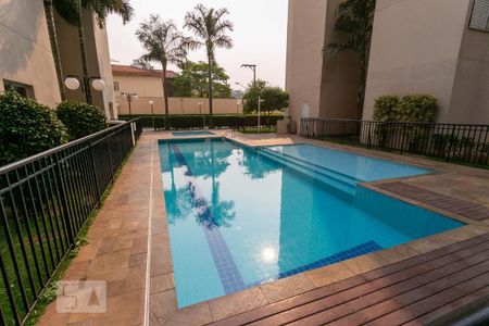 Área comum - Piscina de apartamento à venda com 3 quartos, 114m² em Nova Petrópolis, São Bernardo do Campo