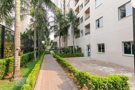 Área comum de apartamento à venda com 3 quartos, 114m² em Nova Petrópolis, São Bernardo do Campo