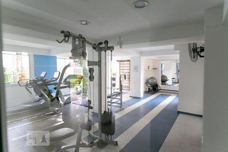 Área comum - Academia de apartamento à venda com 3 quartos, 114m² em Nova Petrópolis, São Bernardo do Campo