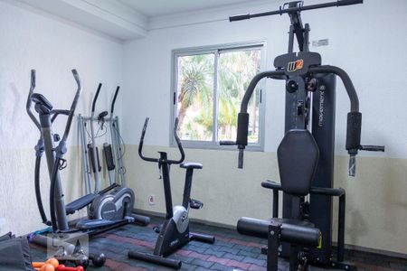 Apartamento para alugar com 65m², 3 quartos e 1 vagaAcademia