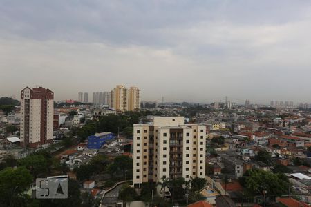 Vista da Suíte de apartamento para alugar com 2 quartos, 64m² em Vila Polopoli, São Paulo