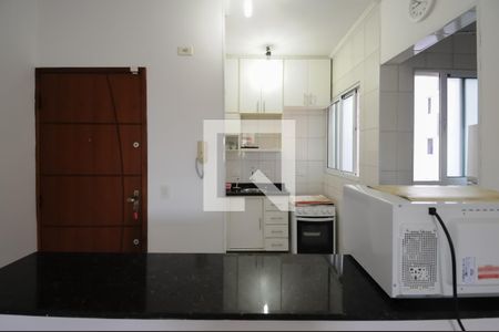 Apartamento para alugar com 46m², 1 quarto e 1 vagaCozinha - Armários