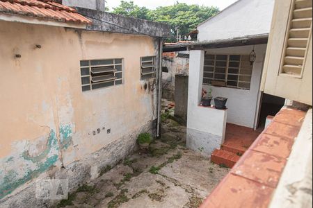Casa à venda com 333m², 3 quartos e 2 vagasQuintal