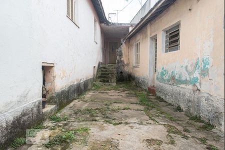 Casa à venda com 333m², 3 quartos e 2 vagasQuintal