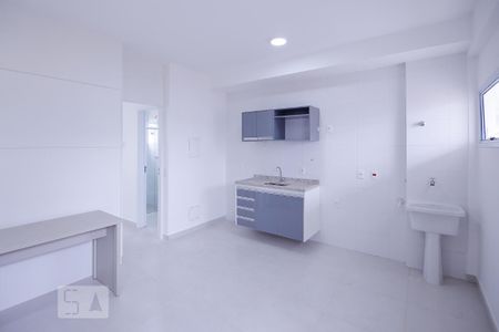 Apartamento para alugar com 30m², 1 quarto e sem vagaCozinha e Área de Serviço