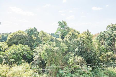 Vista do Quarto 1 de apartamento para alugar com 2 quartos, 46m² em Campanário, Diadema