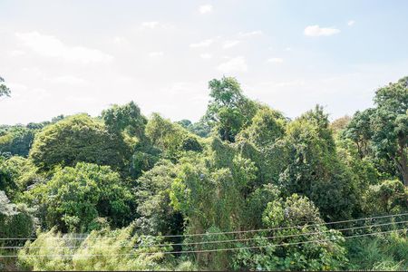 Vista da Sacada de apartamento para alugar com 2 quartos, 46m² em Campanário, Diadema