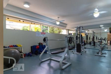 Área comum - Academia de apartamento para alugar com 1 quarto, 59m² em Cambuí, Campinas