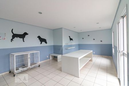 Apartamento à venda com 79m², 3 quartos e 2 vagasPet care