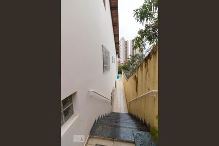 Casa para alugar com 380m², 4 quartos e 4 vagasÁrea externa lateral