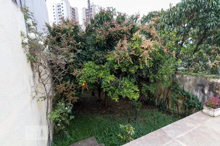 Casa para alugar com 380m², 4 quartos e 4 vagasPomar