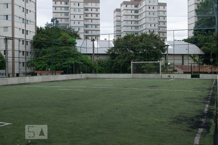 Apartamento para alugar com 66m², 2 quartos e 1 vaga Apartamento para alugar com 66m², 2 quartos e 1 vagacampo