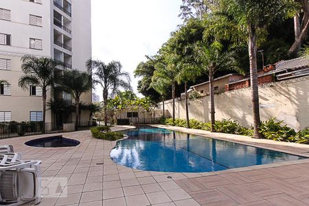 Área comum - Piscina de apartamento para alugar com 2 quartos, 49m² em Vila Bela, São Paulo