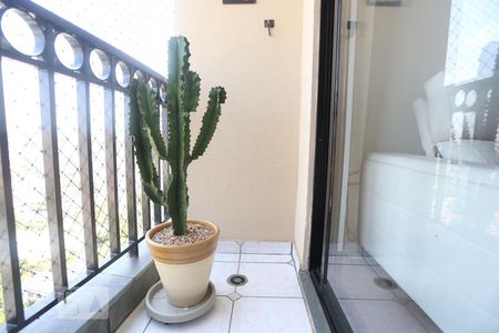 Sacada de apartamento para alugar com 2 quartos, 70m² em Jardim Bonfiglioli, São Paulo