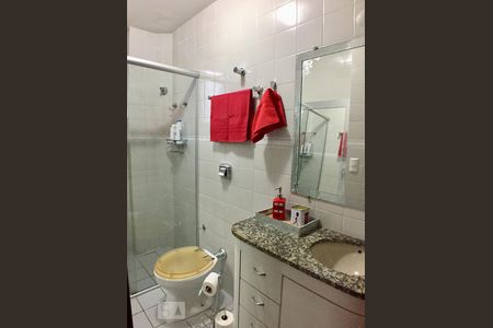 Banheiro de apartamento para alugar com 3 quartos, 68m² em Santa Efigênia, Belo Horizonte