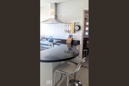 Apartamento à venda com 397m², 4 quartos e 6 vagasCozinha