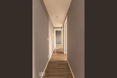 Corredor  de apartamento para alugar com 2 quartos, 41m² em Jardim Belém, São Paulo