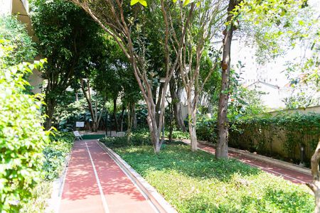 Apartamento à venda com 500m², 5 quartos e 4 vagas Apartamento à venda com 500m², 5 quartos e 4 vagasÁrea comum - Pista de Cooper