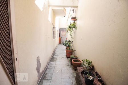 Casa à venda com 370m², 4 quartos e 3 vagasquintal