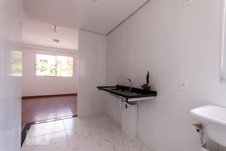 Cozinha de apartamento para alugar com 2 quartos, 45m² em Santa Amelia, Belo Horizonte