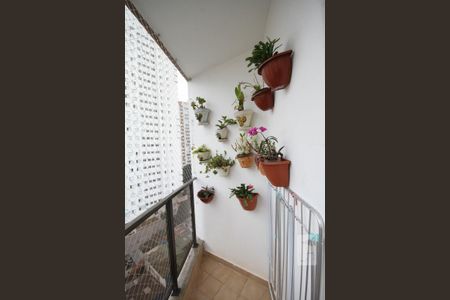 Apartamento à venda com 103m², 3 quartos e 2 vagasTerraço da suíte