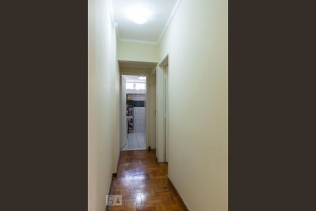 Corredor de apartamento para alugar com 2 quartos, 83m² em Vila Monumento, São Paulo