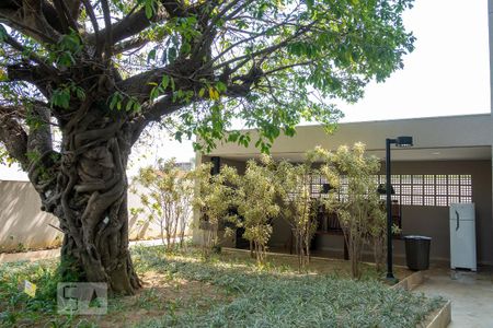 Área comum - Churrasqueira de apartamento para alugar com 2 quartos, 48m² em Vila Paranaguá, São Paulo