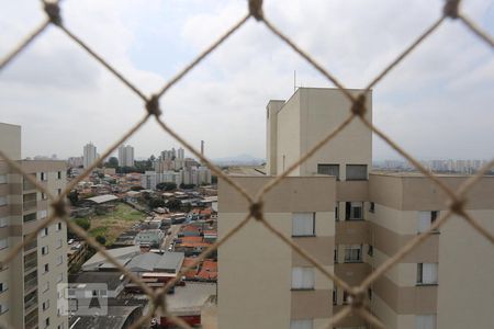 Vista do Quarto 1 de apartamento para alugar com 3 quartos, 73m² em Jaguaré, São Paulo