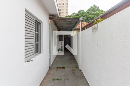 Casa para alugar com 100m², 3 quartos e 1 vagaQuintal