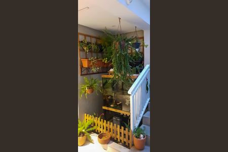 Quintal de casa à venda com 4 quartos, 260m² em Água Branca, São Paulo