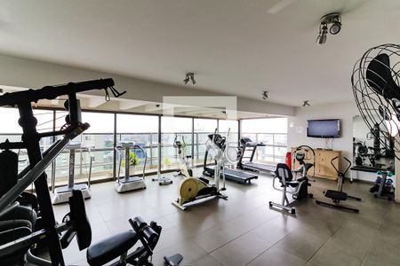 Apartamento à venda com 330m², 4 quartos e 4 vagasAcademia