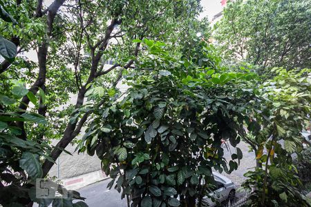 Vista da Sala de apartamento para alugar com 3 quartos, 90m² em Santo Antônio, Belo Horizonte