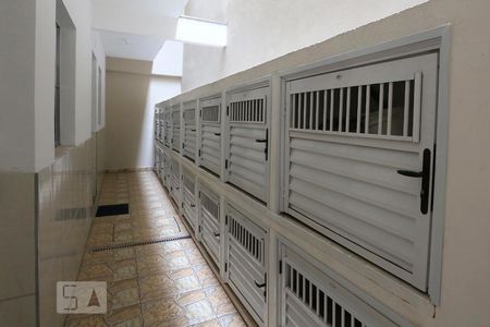 Studio para alugar com 28m², 1 quarto e sem vagaAbrigo do Gás