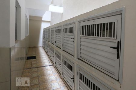 Studio para alugar com 28m², 1 quarto e sem vagaAbrigo do Gás