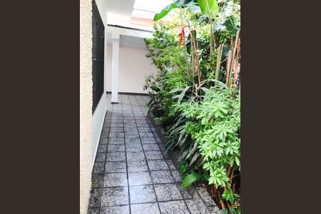 Corredor de casa para alugar com 3 quartos, 150m² em Vila Butantã, São Paulo
