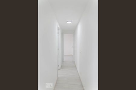 Corredor de apartamento para alugar com 2 quartos, 41m² em Cambuci, São Paulo