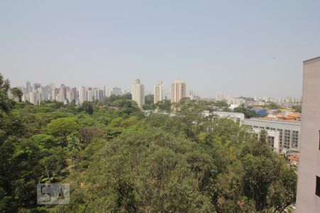 Vista do quarto 2 de apartamento à venda com 2 quartos, 60m² em Jardim Morro Verde, São Paulo