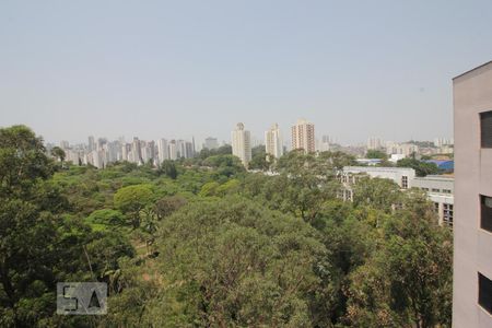 Vista do quarto 1 de apartamento à venda com 2 quartos, 60m² em Jardim Morro Verde, São Paulo