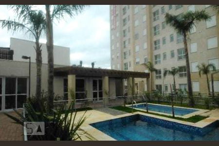 Área comum - Piscina de apartamento para alugar com 2 quartos, 60m² em Cavalhada, Porto Alegre