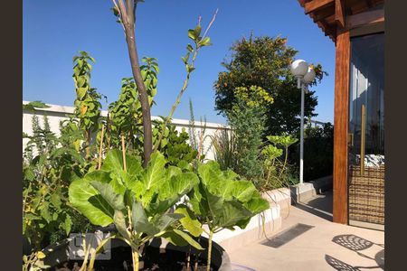 Apartamento à venda com 355m², 4 quartos e 3 vagasEspaço Gourmet