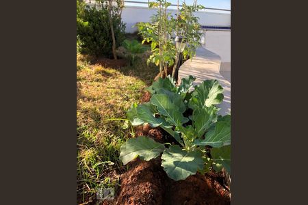 Apartamento à venda com 355m², 4 quartos e 3 vagasEspaço Gourmet