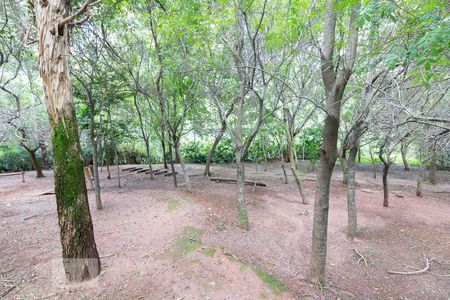 Apartamento à venda com 51m², 2 quartos e 1 vagaBosque