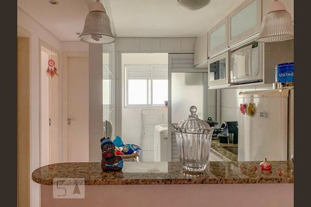 Copa Cozinha de apartamento para alugar com 2 quartos, 50m² em São João Clímaco, São Paulo