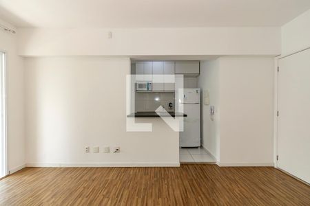 Sala de apartamento para alugar com 1 quarto, 53m² em Jardim Santo Amaro, São Paulo