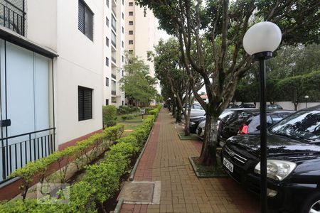 Apartamento à venda com 52m², 2 quartos e 1 vagaÁrea Comum