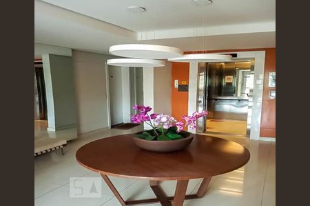 Apartamento para alugar com 3 quartos, 71m² em Vila Isolina Mazzei, São Paulo