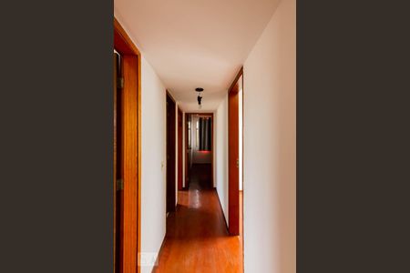 Corredor de apartamento para alugar com 2 quartos, 71m² em Lourdes, Belo Horizonte