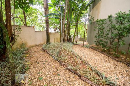 Apartamento à venda com 64m², 3 quartos e 1 vagaÁrea comum - Pet place