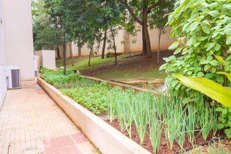 Apartamento à venda com 64m², 3 quartos e 1 vagaÁrea comum - Horta